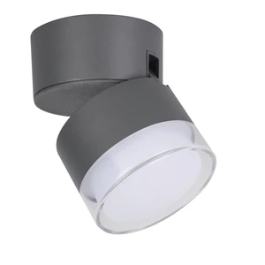 Lutec DROPSI Kültéri LED Fali 1 Lámpa LUTEC CONNECT Szürke 10W