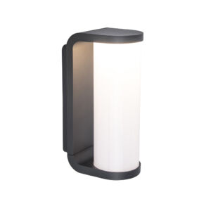 Adalyn kültéri LED fali lámpa 1 light - dark grey