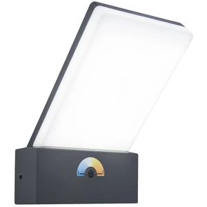 Pano kültéri LED fali lámpa 1 light dark grey - CCT Fehér