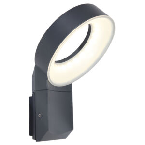 Meridan small kültéri LED fali lámpa 1 light dark grey