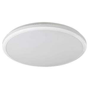 Brandon fürdőszobai lámpa  IP 65 31.5 cm  - Rábalux - Vízálló