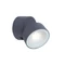 Trumpet Kültéri Led Fali Lámpa 1 Light Dark Grey