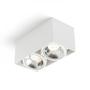 Kép 1/5 - JAMES II DIMM Mennyezeti fehér  230V LED 2x15W 24°  3000K