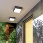 Kép 5/5 - DELTA 215 felületre szerelhető anrtracitszürke  230V E27 18W IP54 Kültéri-Vízálló