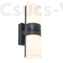 Kép 1/5 - Cyra kültéri LED fali lámpa mozgásérzékelővel 2 light dark grey